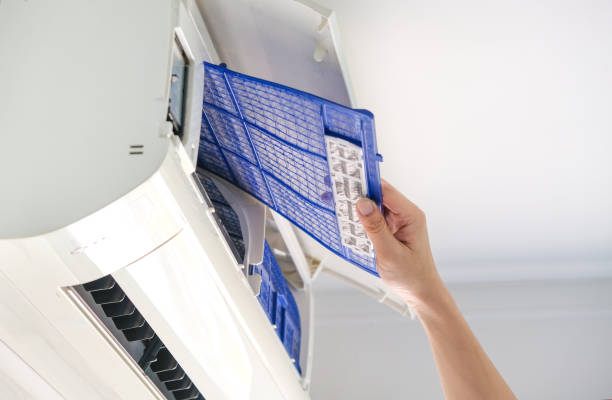 Best Air Duct Sanitizing Services  in Valencia West, AZ